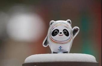 “冰墩墩”、、“雪容融”商标也抢手，，，，已被成功注册！！